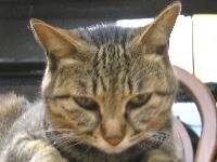 �u�E�E�E�E�E�v