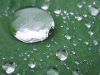 ���ꂪ�{���̃_�C����������E�E�E