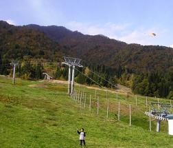 �������ɖ�����syun