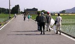 �e�q�N���[�����̖͗l