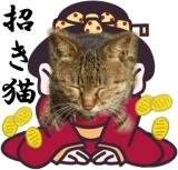 1���P���̎ʐ^