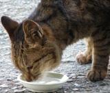 3��24���̎ʐ^